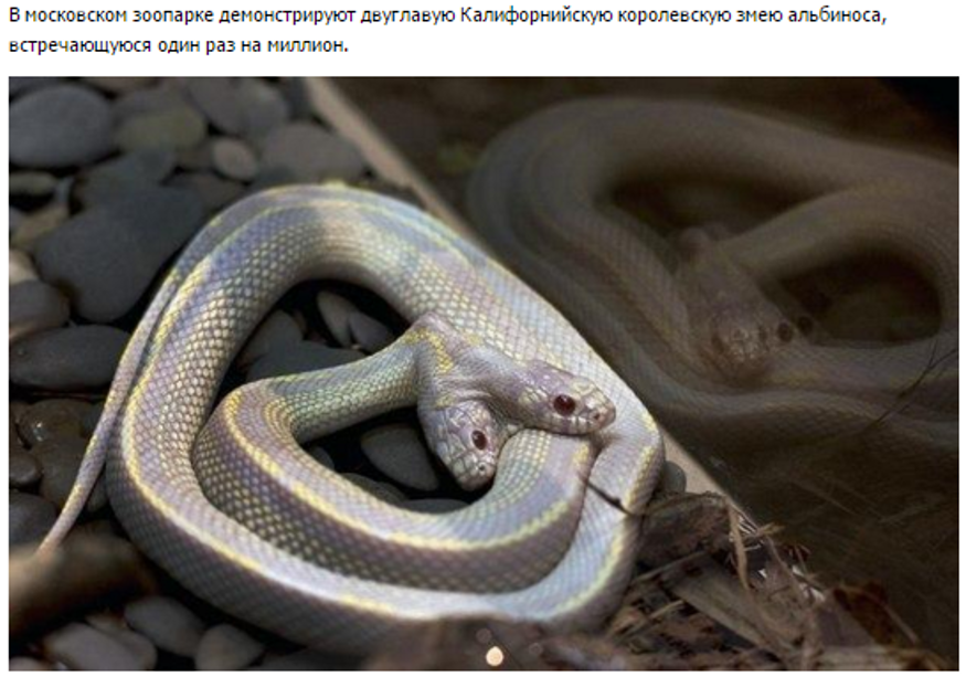 И это тоже один на миллион - очень смешно